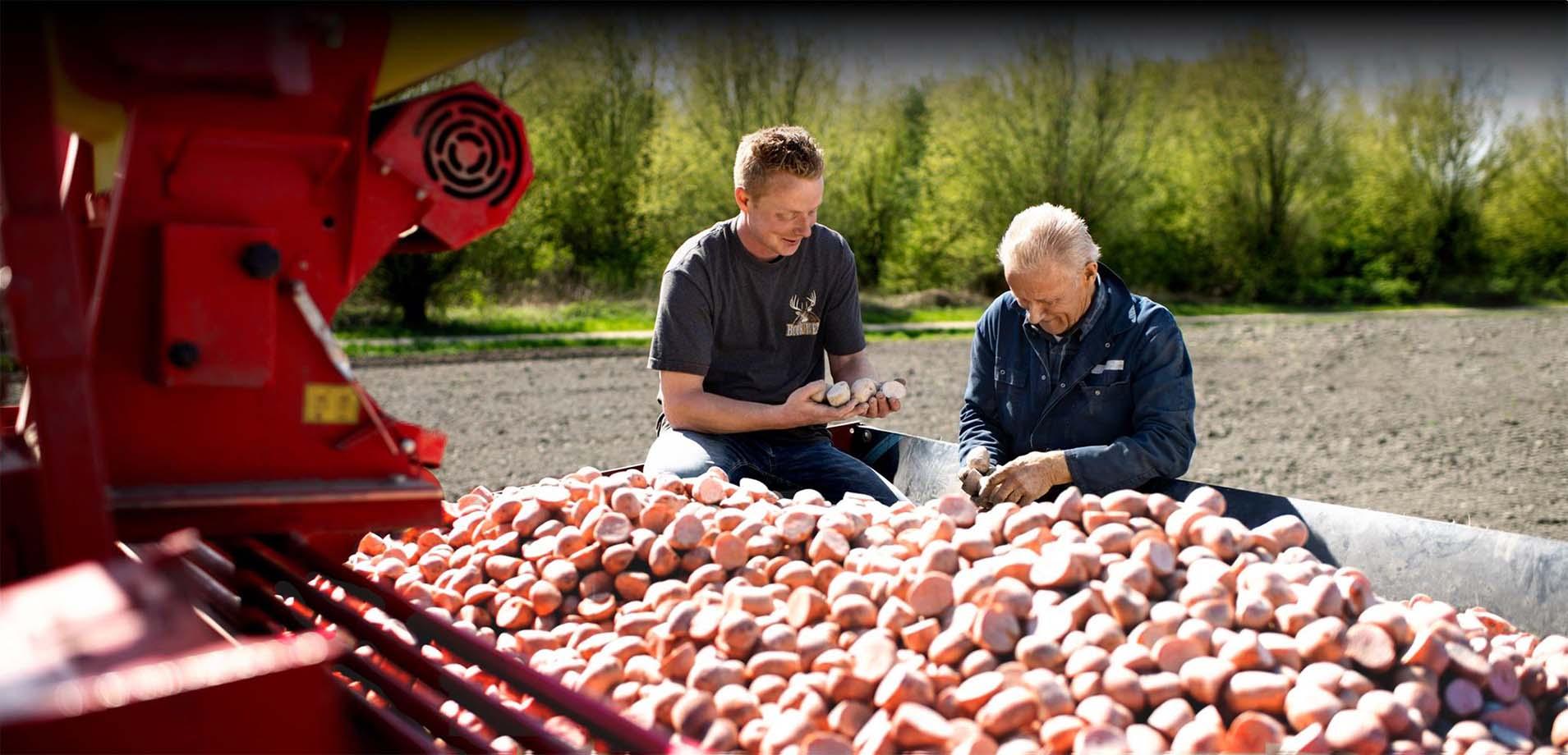 proud farmers aviko